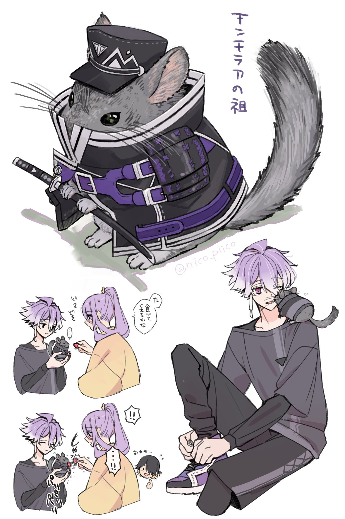 紫苑猫様専門ページ 紫苑 (@Shion19Aster) / X