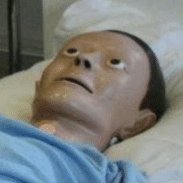 when the two things I explicitly put in an order for end up unavailable somehow but all the random shit we threw in made it perfectly fine
