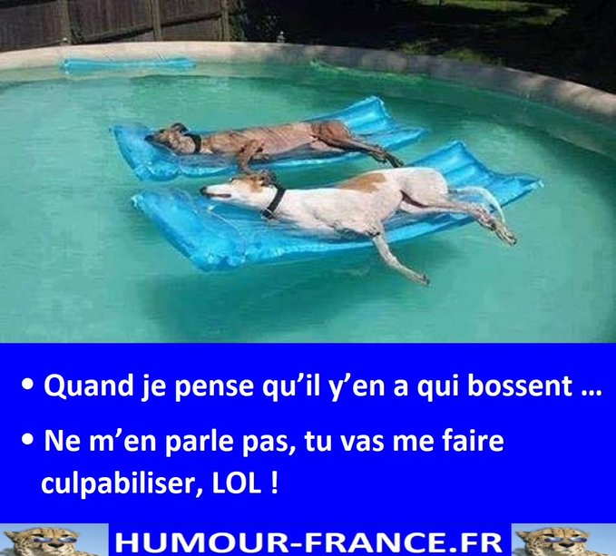 text alternatif