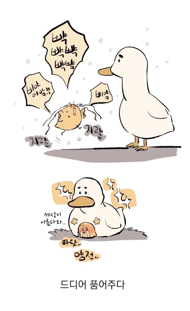 초봄 (@cho__vom) on Twitter photo 