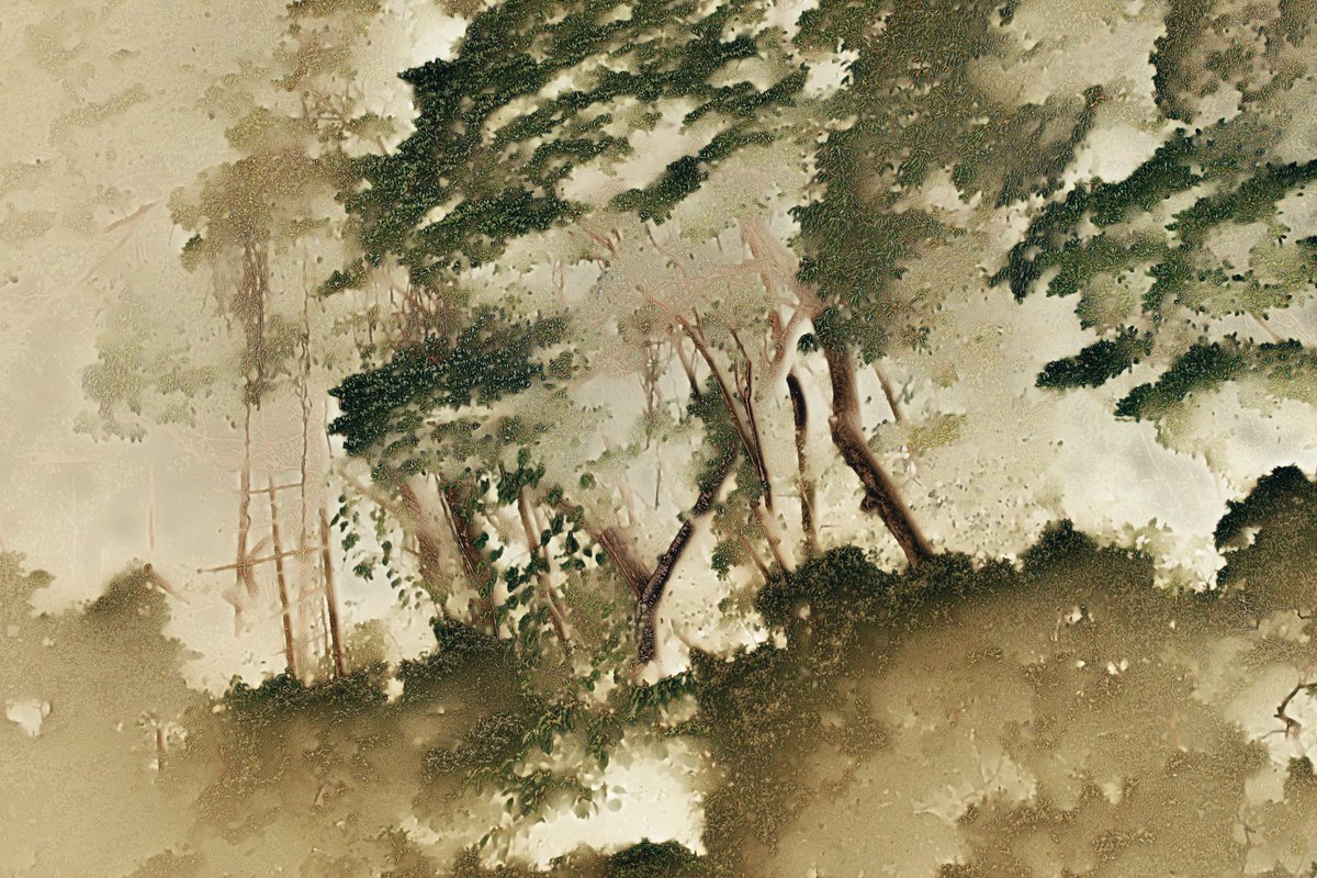 yurinokoichi's tweet image. 森に至る抽象