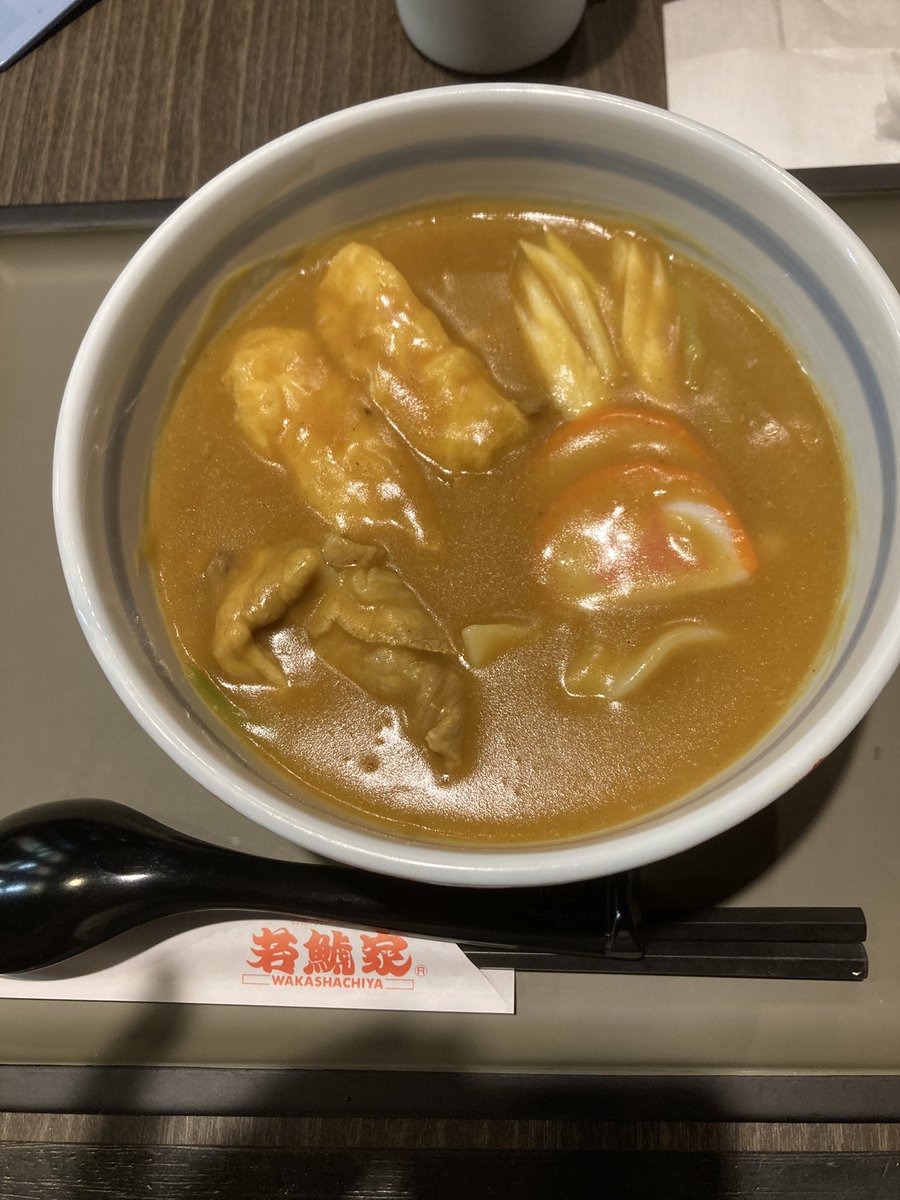 カレーきしめん食してきた
なかなかの！