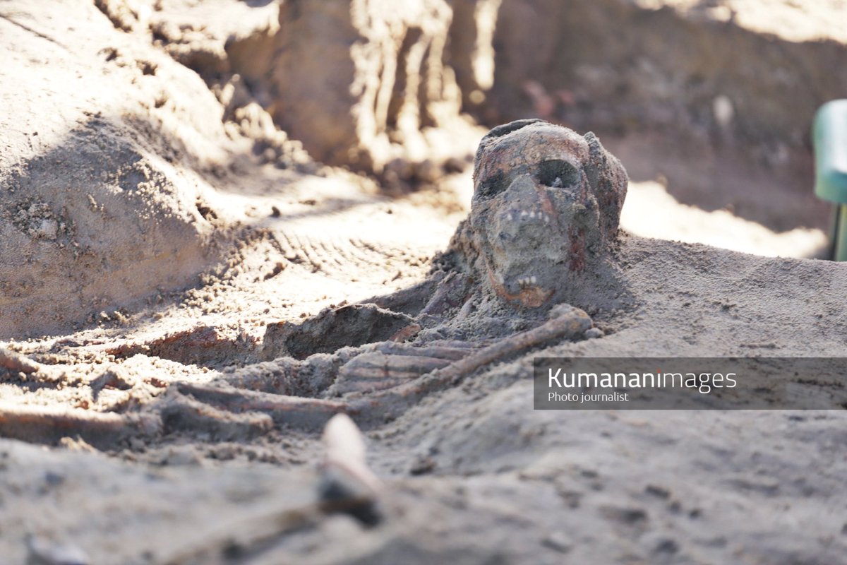 Kumanan tweet media