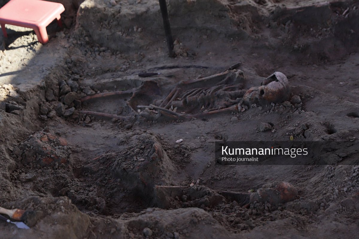 Kumanan tweet media