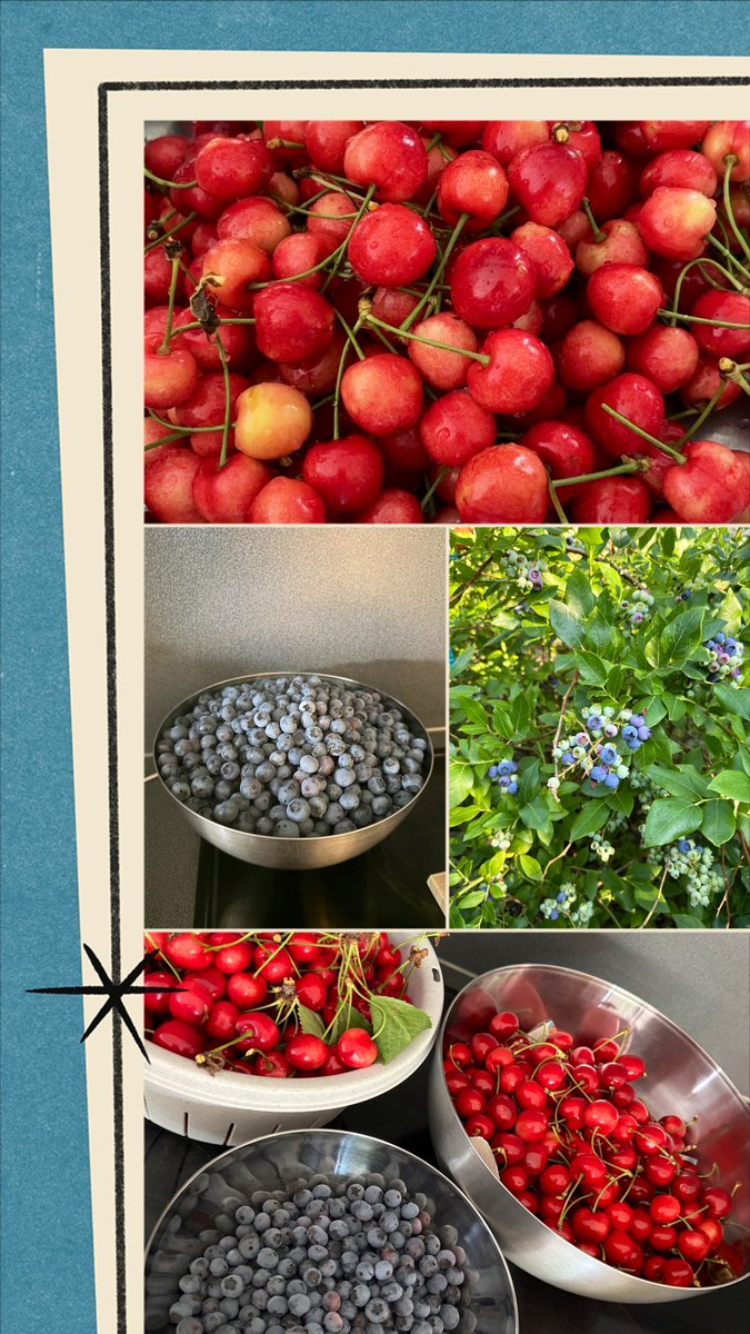 Martine_573's tweet image. #eigenkweek