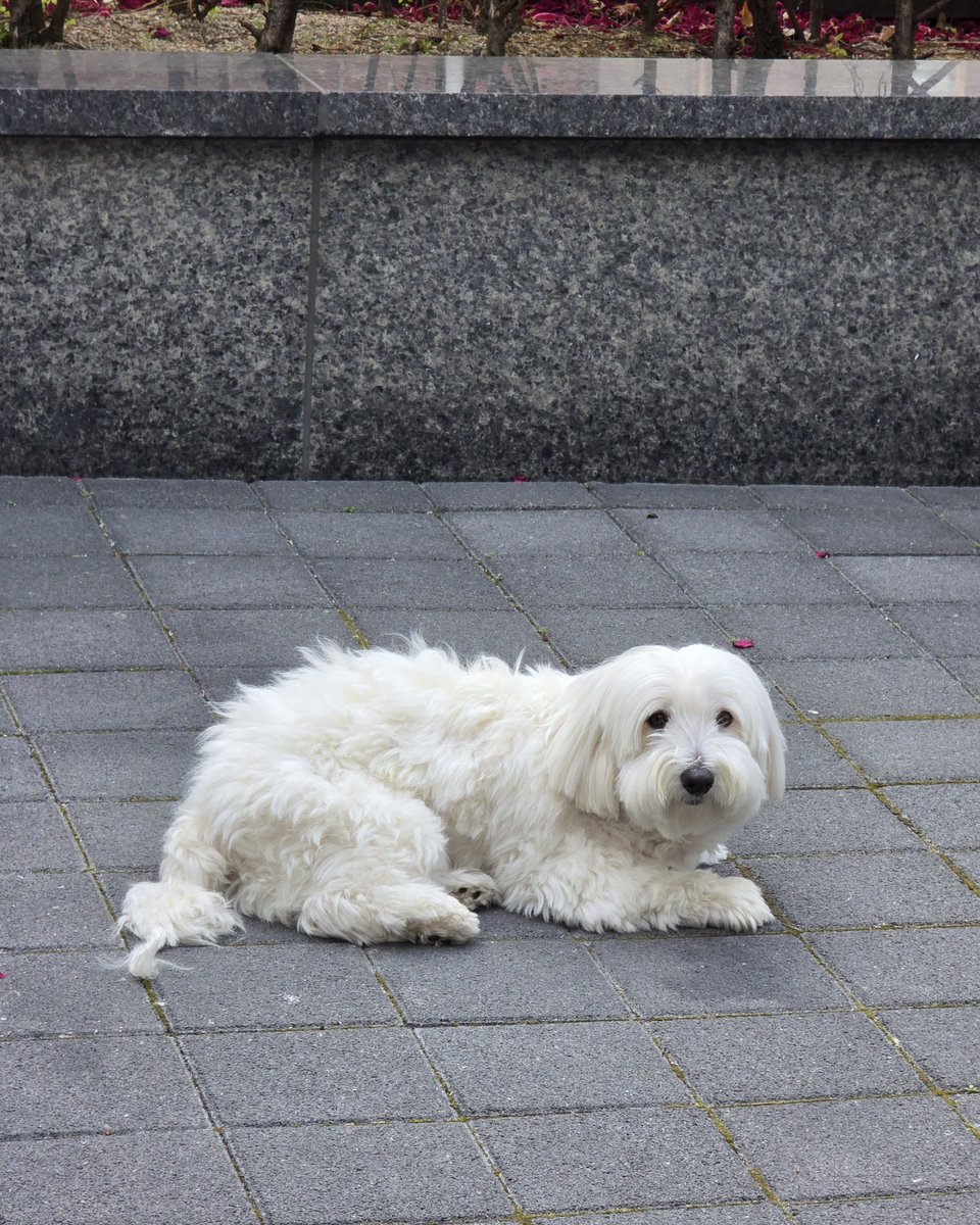 IDID_starship's tweet image. [🌠] #박원빈_DID
☀         ☁
      ☁               
                                  ☁

          🐬🐧
🌊🌊⛵🌊🌊🌊🌊⁣🌊
    ｜
    ｜
    ｜ 🐠
    ｜     🐟
 🐳 ｜
    ⚓(🩵🩶)

#IDID #아이딧 #PARKWONBIN #박원빈