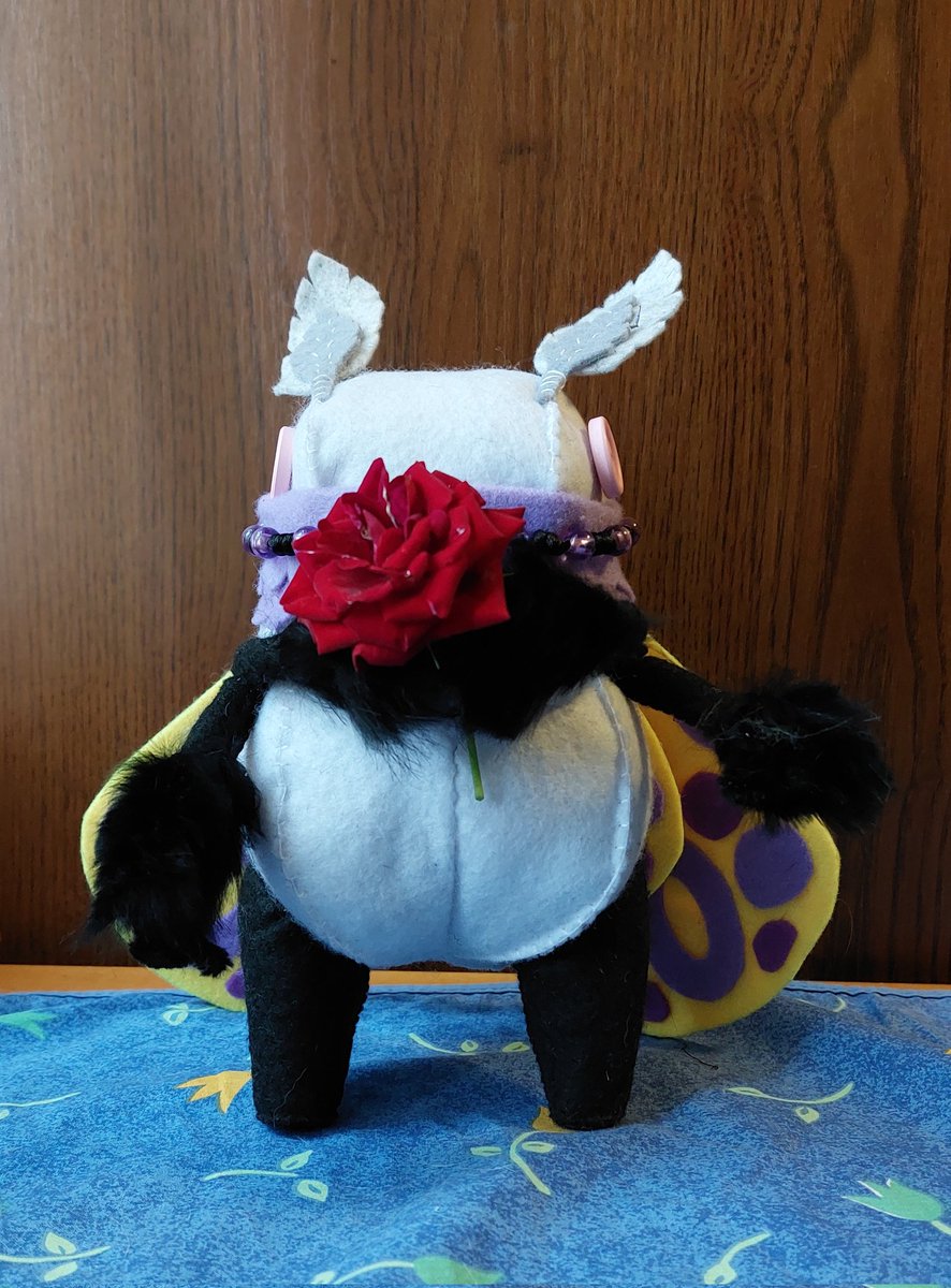 VergilSomn's tweet image. #MollyMoth