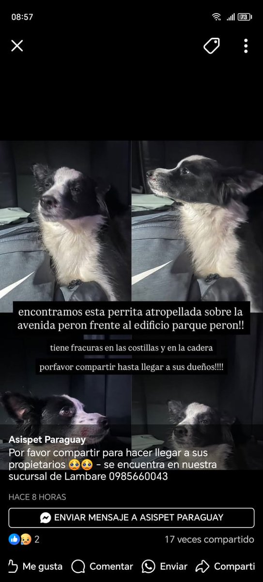 Nos ayudan compartiendo porfi🐾❤️
