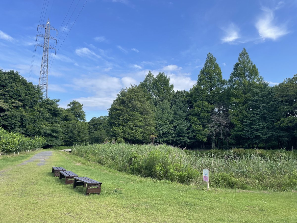 智光山公園を訪れました。

里山のようで静かで気持ちの良い空間が広がっていました✨今回は30分程度の滞在だったので4分の1も見て回れなかったので、また来ます！

#Midori #自然 #公園 #アウトドア #自然情報ポータルサイト