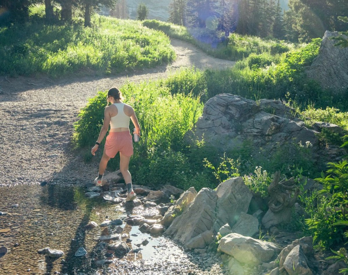 Don't miss out on the beauty of Little Cottonwood Canyon this summer! 🌼  bit.ly/4l9N8nR