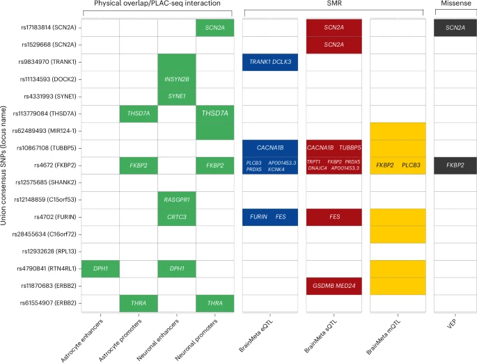 doctorveera's tweet image. A comprehensive fine-mapping of bipolar disorder GWAS signals by @MKoromina et al. in @NatureNeuro
Great work with beautiful visualizations!
nature.com/articles/s4159…
