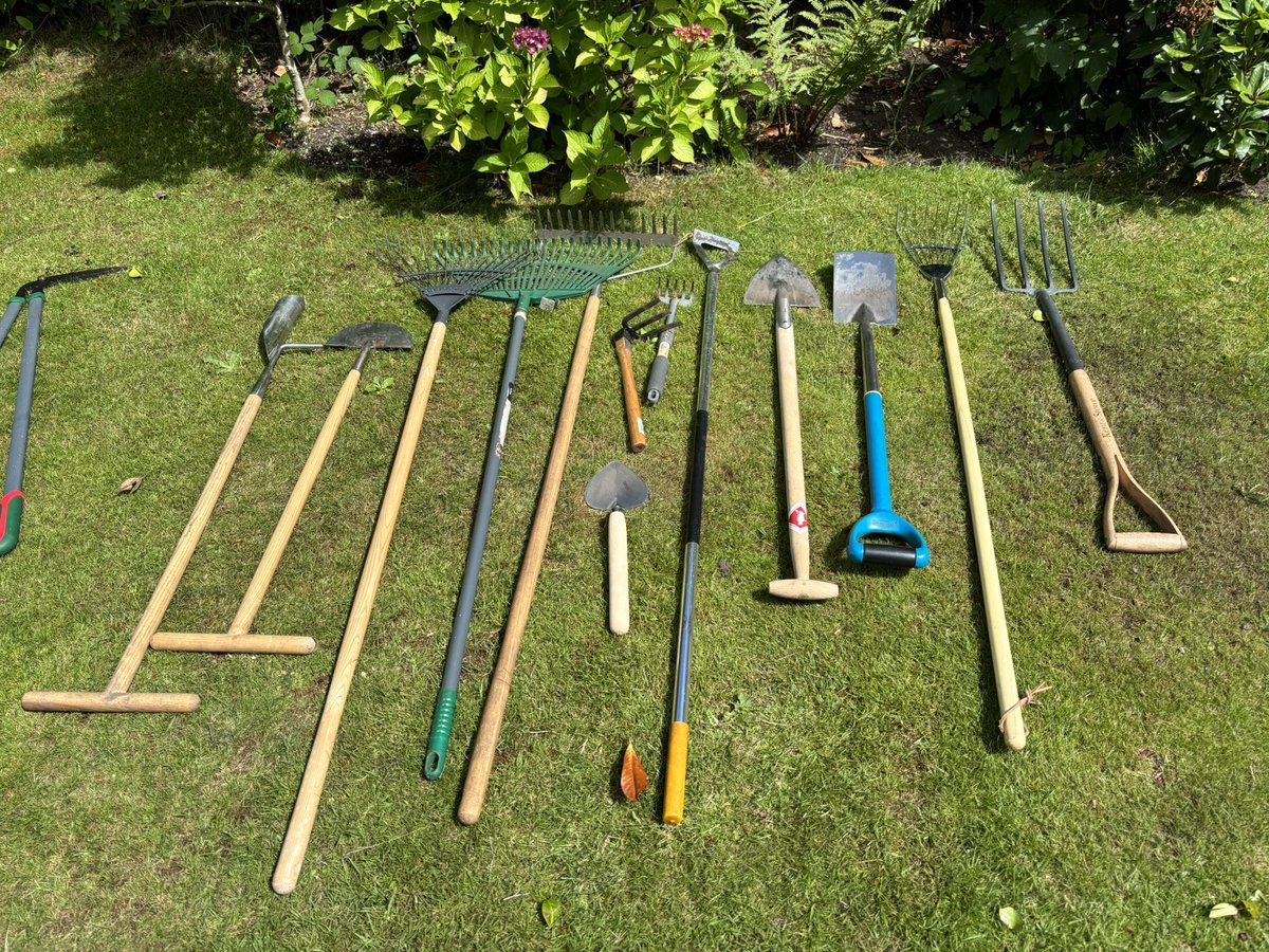 Prof Vince Bissell tweet media