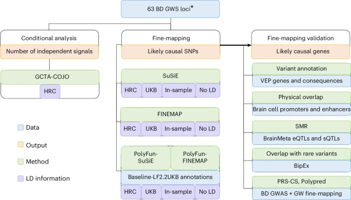 doctorveera's tweet image. A comprehensive fine-mapping of bipolar disorder GWAS signals by @MKoromina et al. in @NatureNeuro
Great work with beautiful visualizations!
nature.com/articles/s4159…