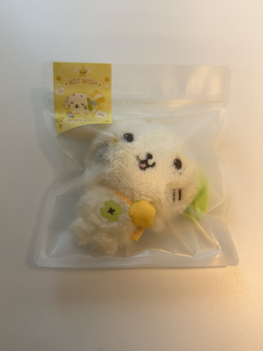 저에게도 드뎌 룐룐이가 생겼어요🥹💕