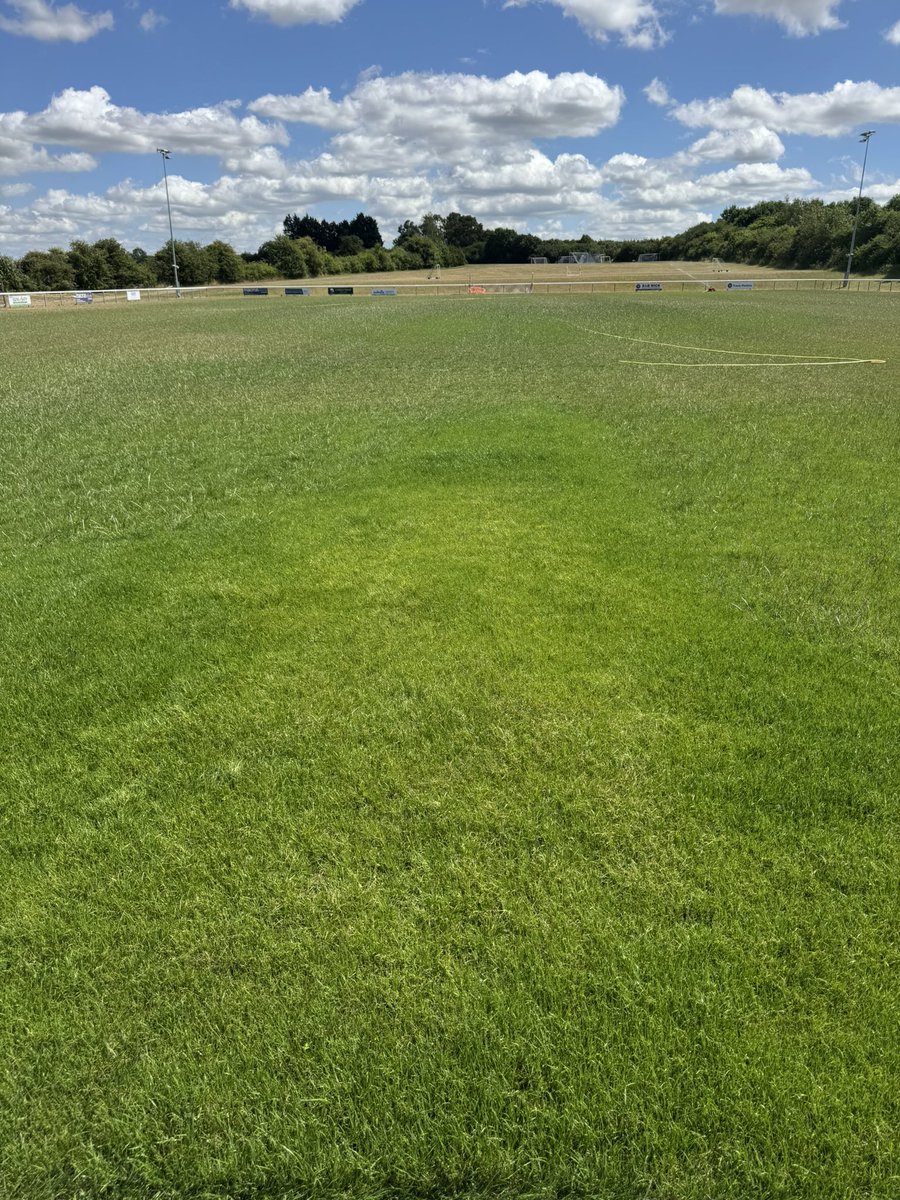 George Starling tweet media