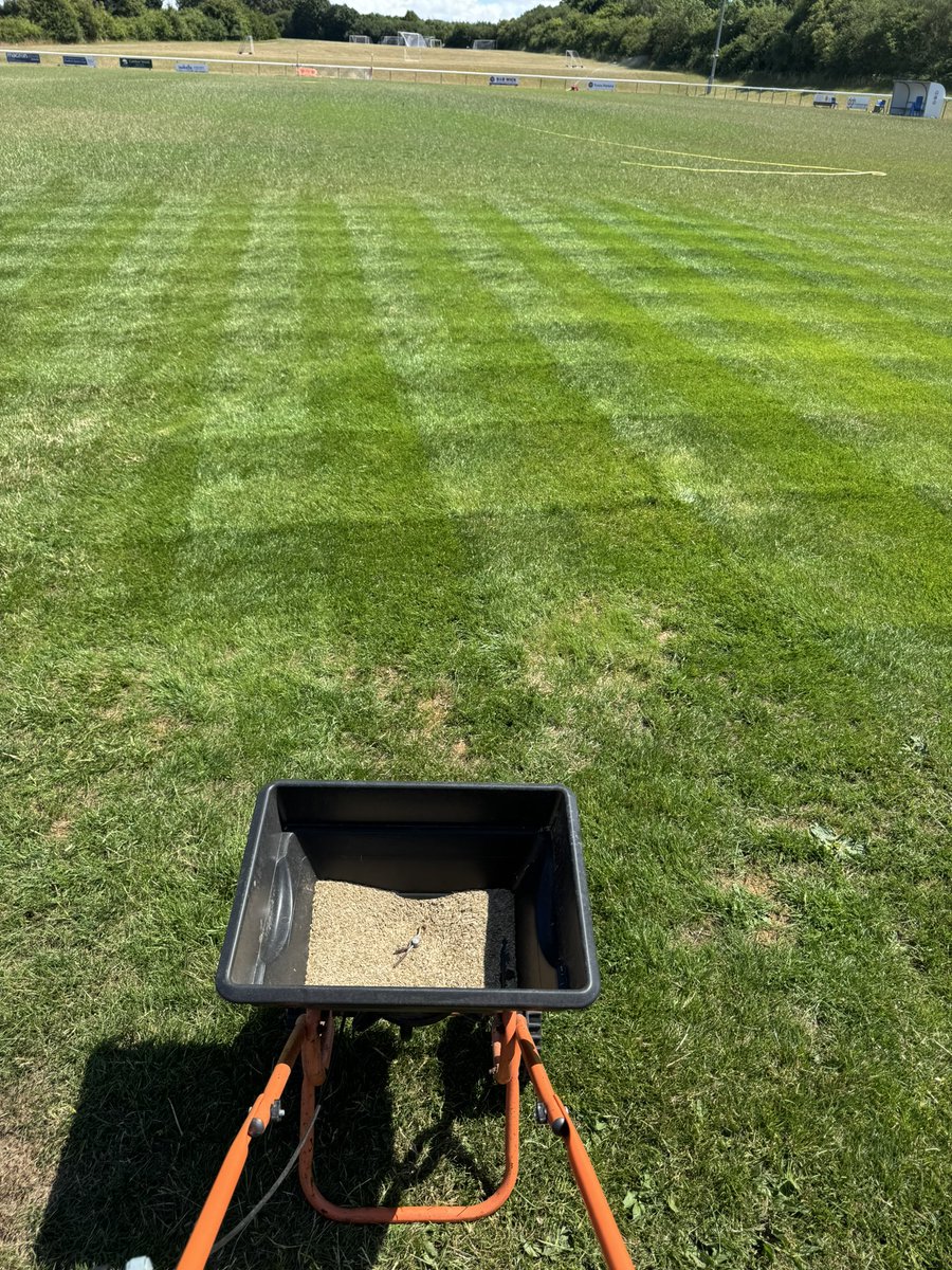 George Starling tweet media