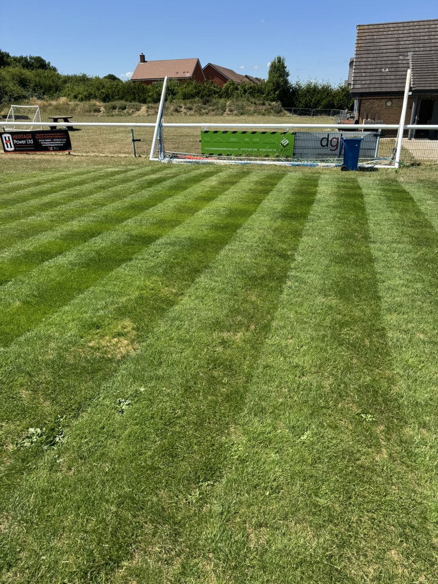 George Starling tweet media