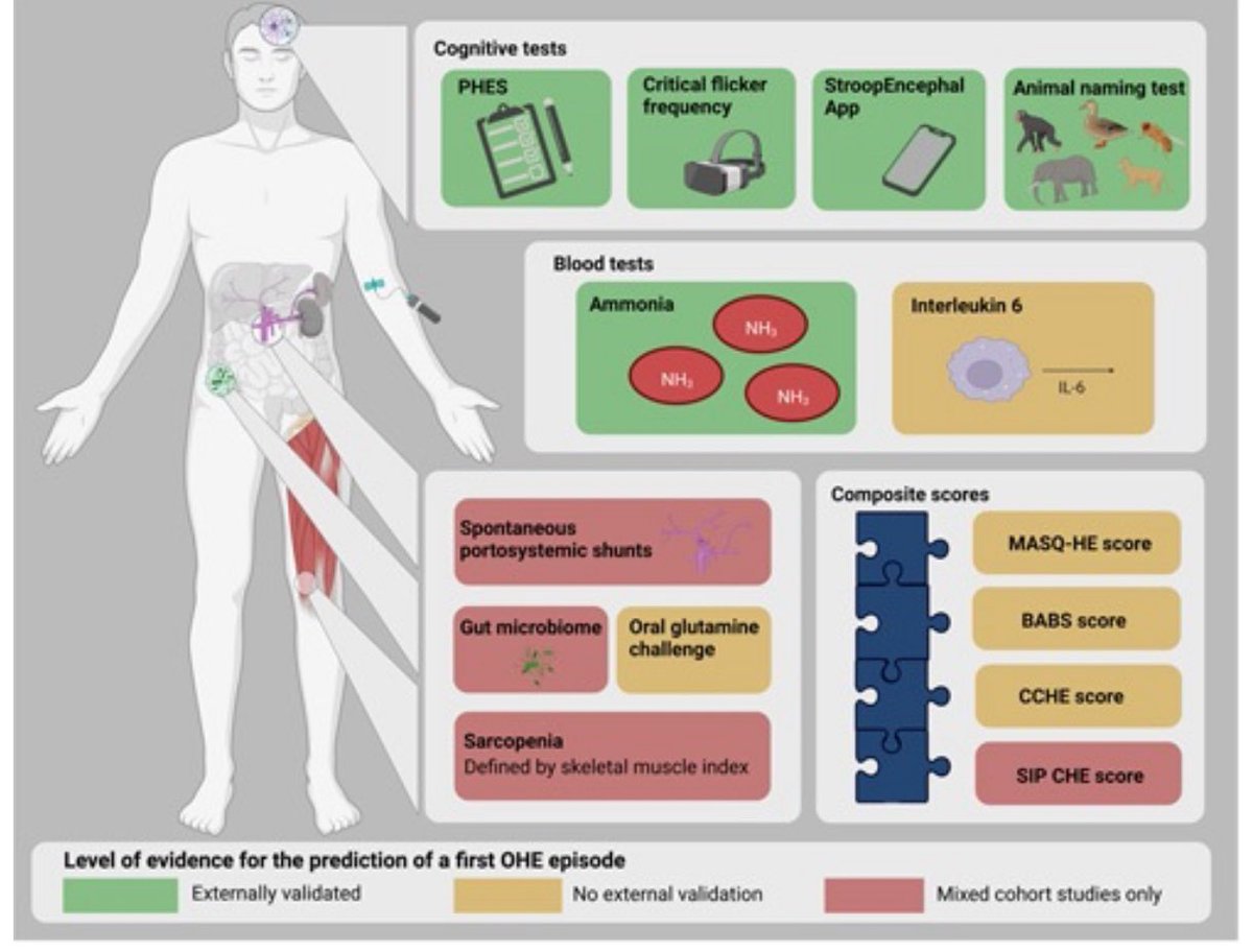 Hepatology Communications tweet media