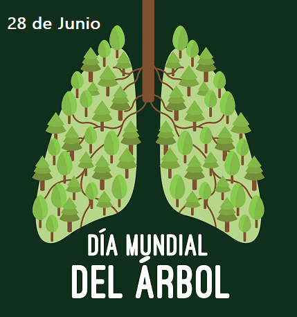 PioVona's tweet photo. #28Junio "Día Mundial del Árbol"

Proclamado por el Congreso Forestal Mundial desde 1969, cada 28 de junio se conmemora el Día Mundial del Árbol con la finalidad de reconocerlo como un "elemento vital del planeta".

#28Jun 
#DiaDelArbol 🌲
#DiaMundialDelArbol https://t.co/qaWJVBARHh
