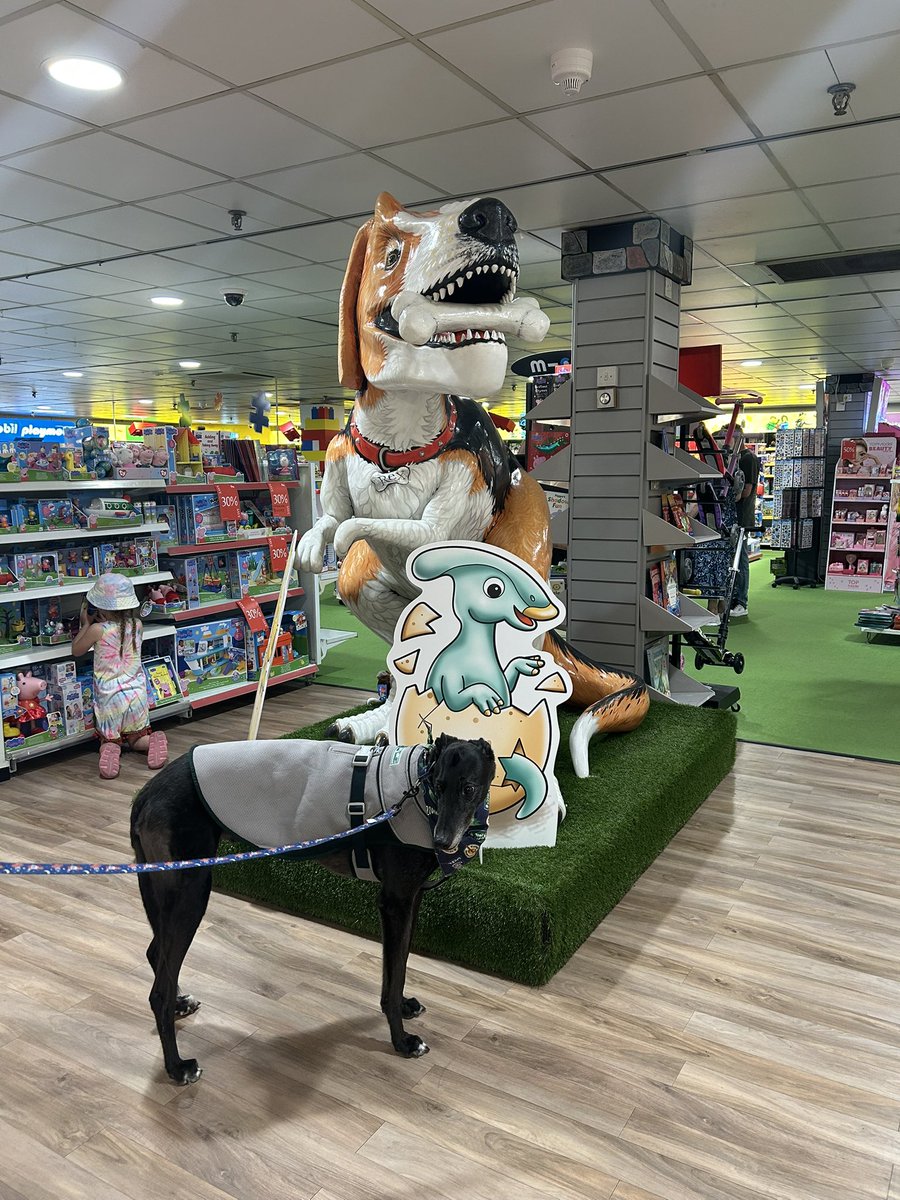 DukeHound16's tweet image. As temperatures hit 28 at lunchtime we had to call it a day for safari hunting as we were all melting. I found a couple of lovely air con shops. A change of cooling coat & now heading back to the cottage for cold drinks & a nap 😴 by the fan. We found 48 in 4hrs.