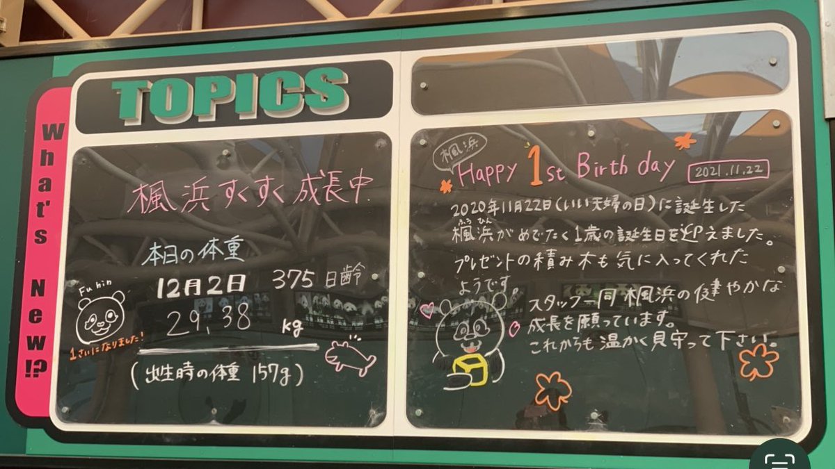 clala_n's tweet photo. 無事に到着したんだね🛬
わたしが会いに行ったときは1歳を迎えたばかりで、お母さんとはしゃぐ姿がとても可愛かったな…🍁🐼🍯

🇨🇳でも元気でね🥲 https://t.co/pUUpqvTw0j