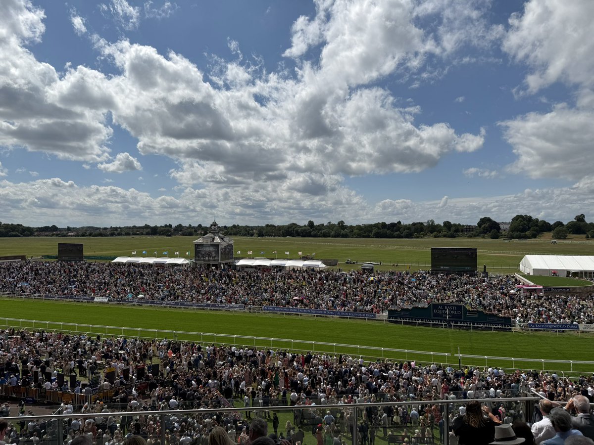 What a crowd! 🐎🏆