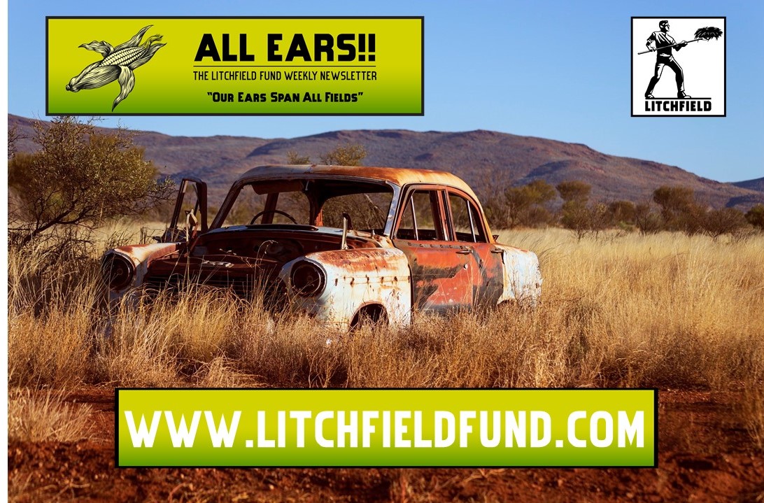 This week's All Ears!!

🌽🌽Idyllic🌽🌽
lnkd.in/gPbzv4K2

#cpgindustry #cpgnews #investing #founders #networking #amwriting 
#investors #entrepreneur #writerscommunity #writingcommunity