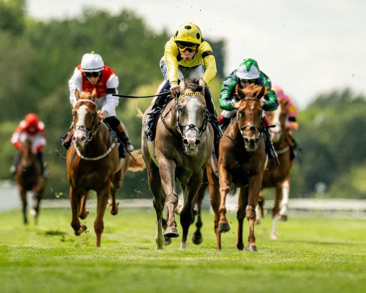 gbougheyracing's tweet photo. AMORIM bolts up @WindsorRaces under @loughnane_billy - well done to Sheikh Mohammed Obaid Al Maktoum https://t.co/IcbL2NYADy