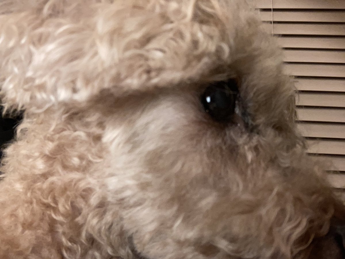 離れない。社長のとこよりうちくるか？