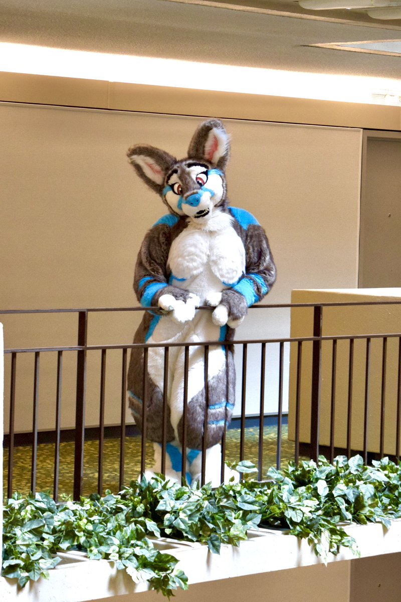 A throwback pic to FWA2023 ☺️ One of the best cons and where I got to cuddle the cutest bun ever 🥰