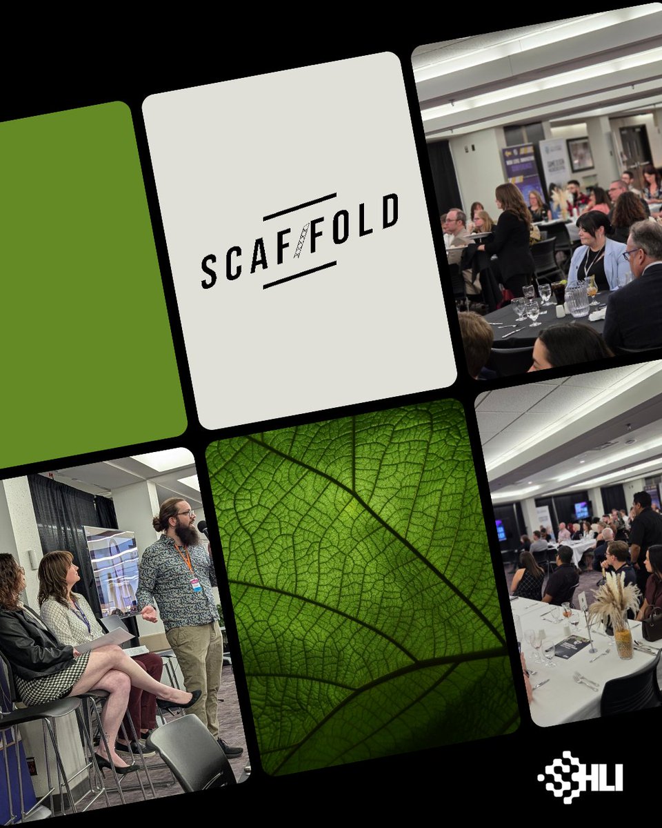 Venture capital in Alberta isn’t just growing, it’s evolving.

The Fireside Chat on Innovation in Venture Capital brought sharp insights and bold ideas!

Brooke Harley, Tracy Stroud, and Charlee Sereda broke it down with clarity and candor.

Powered by Scaffold Institute.
