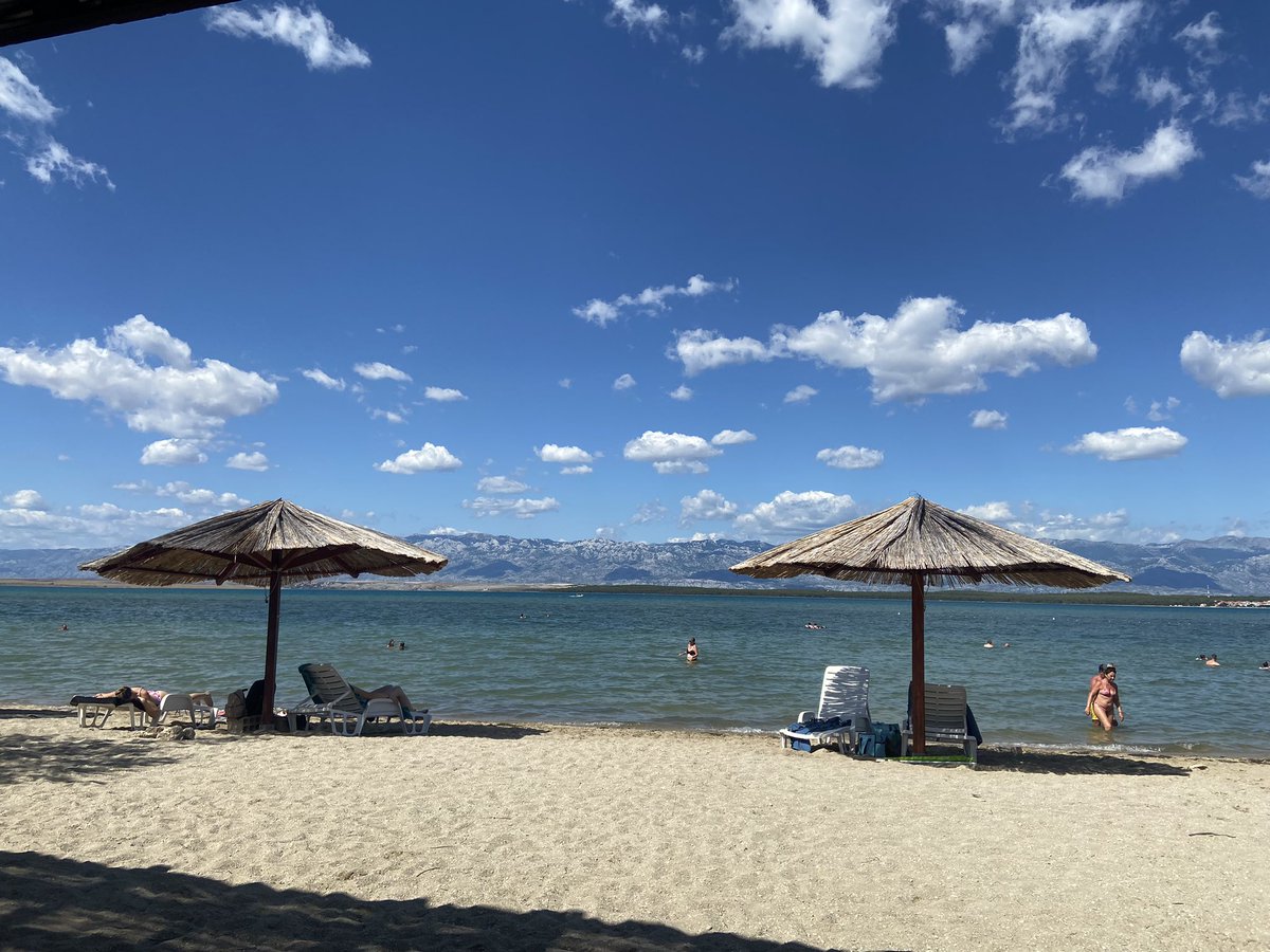 Marija Šehić tweet media