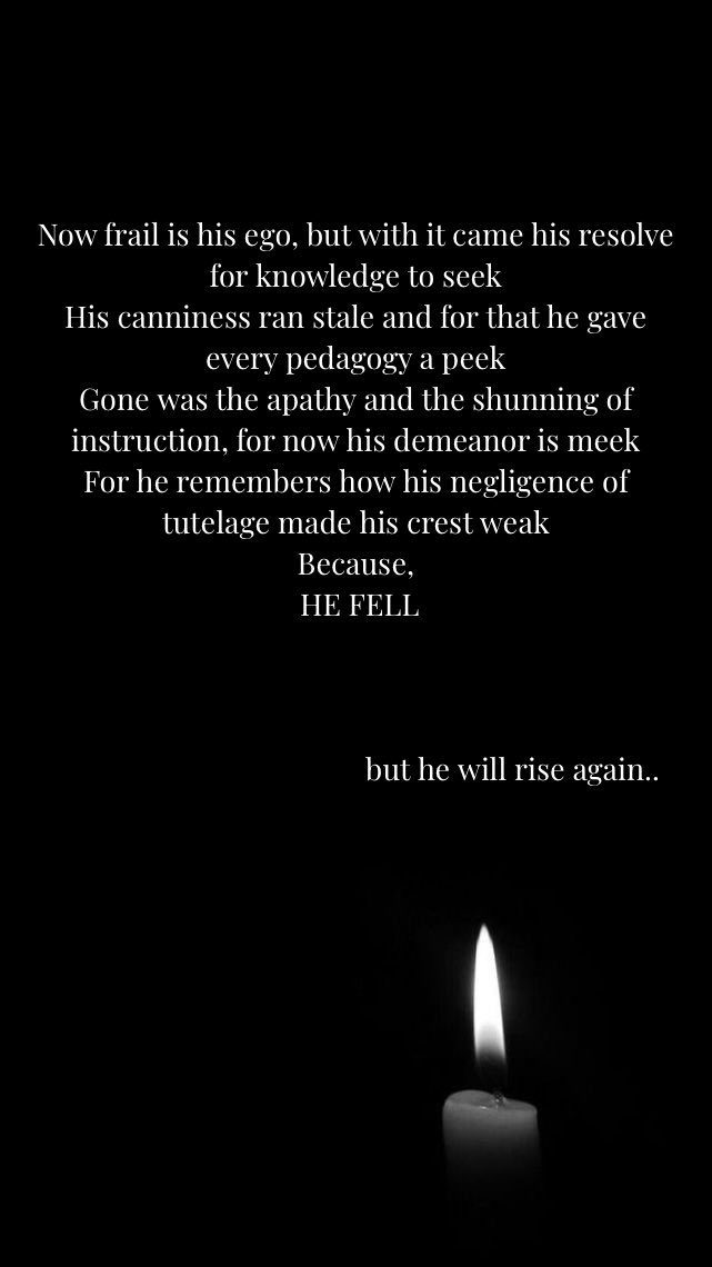 DanGai𓃵 tweet media