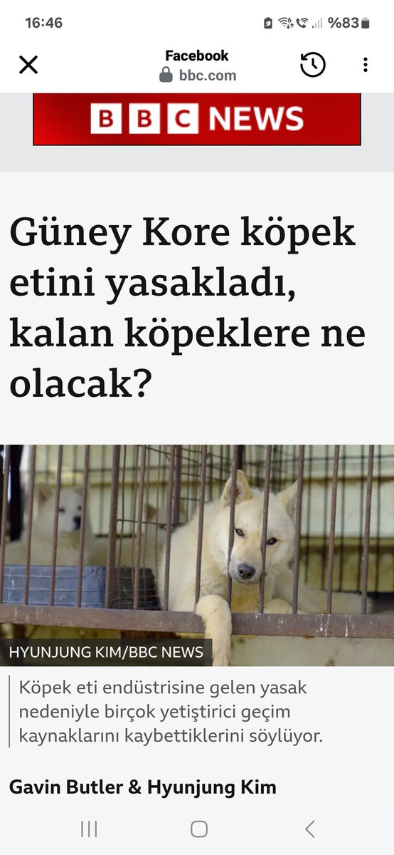 Ülkemizdeki köpek taparlar a yorumsuz.!