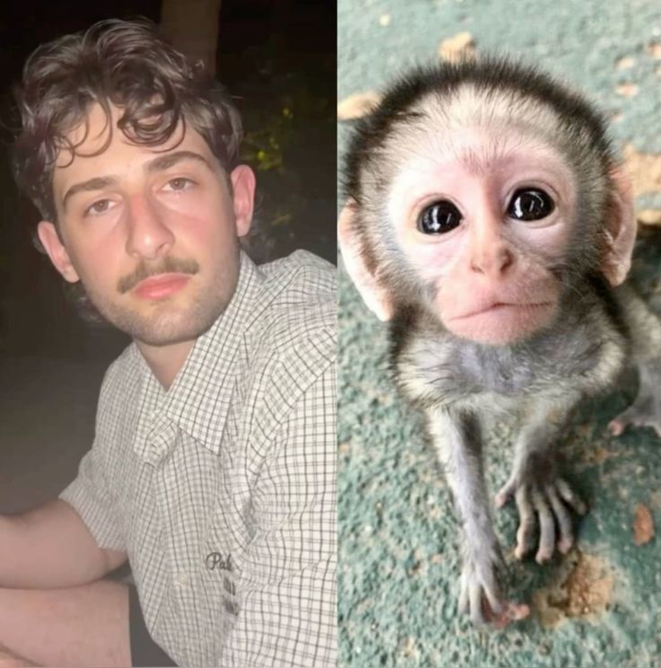 ͏ ͏ ͏ ͏ ͏ ͏ *͏ ͏ ͏ ͏ ͏ ͏ 𝓜𝐀𝐑𝐂. ͏ ͏ ͏ ͏ ͏ tweet media