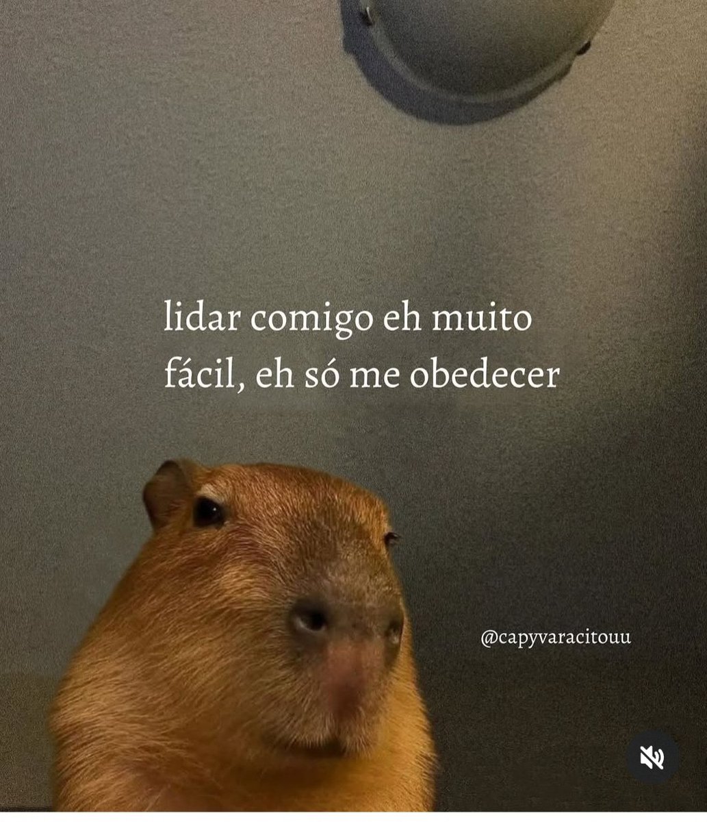 AnglicaCastilh2's tweet image. 😂