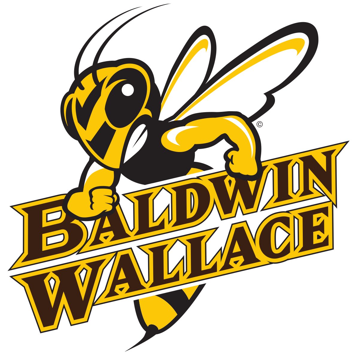 I'm thankful for receiving an official offer from Baldwin Wallace University after meeting with Coach Hilvert and the rest of the coaching staff. #firstswarm