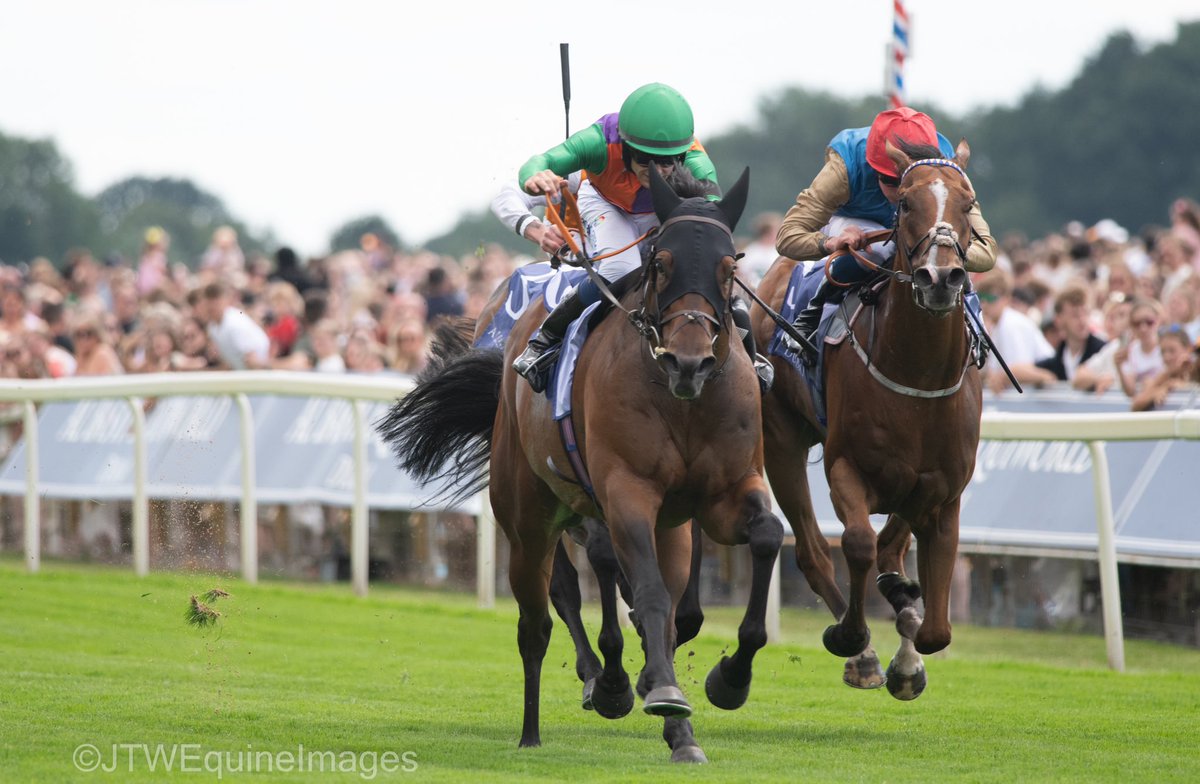 JTW Equine Images (@jtwequineimag) on Twitter photo QUINAULT springs a 12/1 surprise under Jason Hart in the <a href="/ABE_Dubai/">Al Basti Equiworld Dubai</a> Criterion Stakes ( Group 3 ) at York, scoring under a beautiful ride and leading from pillar to post.
Enterprising ride, that yielded a fine victory. QUINAULT springs a 12/1 surprise under Jason Hart in the <a href="/ABE_Dubai/">Al Basti Equiworld Dubai</a> Criterion Stakes ( Group 3 ) at York, scoring under a beautiful ride and leading from pillar to post.
Enterprising ride, that yielded a fine victory.