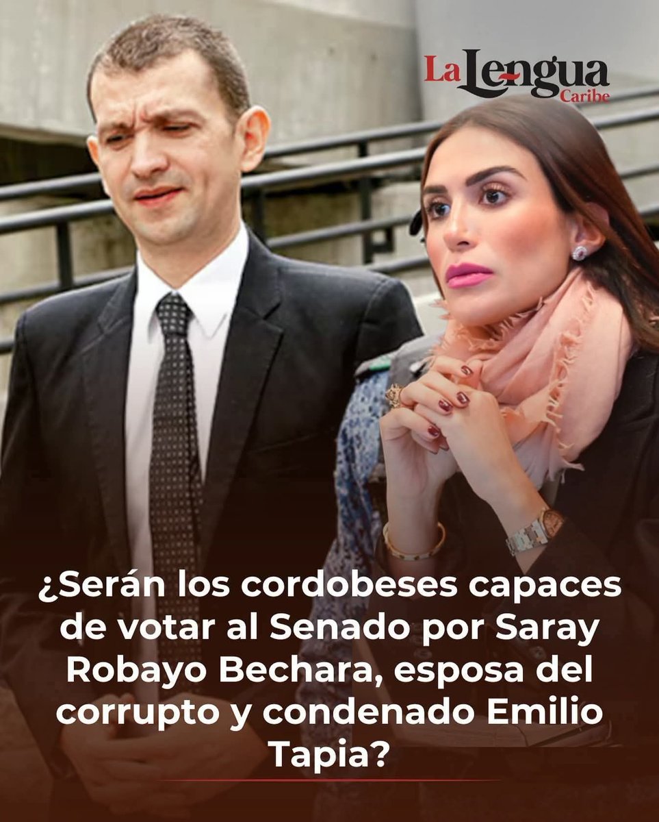 Ave Fénix tweet media