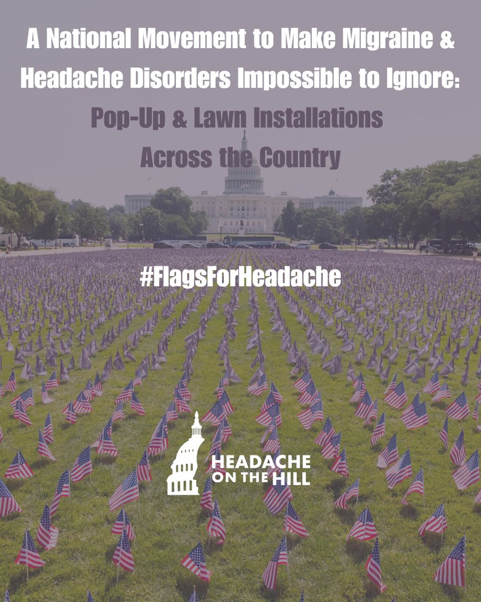 Advocates from across the country answered the call to join the #FlagsForHeadache initiative to make migraine and headache disorders impossible to ignore. 💜

#MHAM #MigraineAwareness