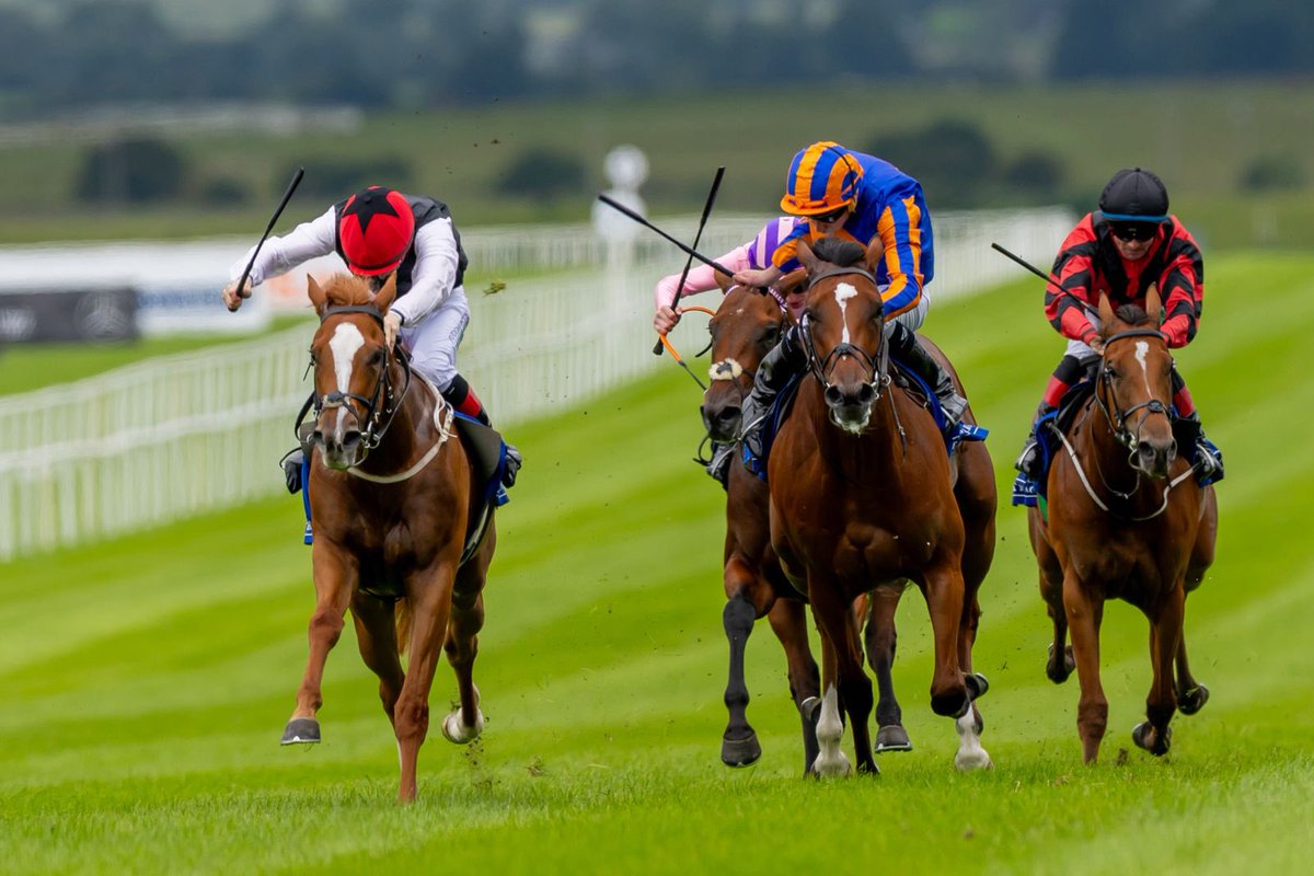 The Curragh Racecourse (@curraghrace) on Twitter photo ๐ฆ๐ช Group race glory in the <a href="/JebelAliRC/">Jebel Ali Racecourse</a> Anglesey Stakes for Suzie Songs, under Colin Keane for trainer Ger Lyons.
๐ Congratulations to <a href="/MoyglareStud/">Moyglare Stud</a>
#AngleseyStakes #IrishDerbyFestival #Group3Success ๐ฆ๐ช Group race glory in the <a href="/JebelAliRC/">Jebel Ali Racecourse</a> Anglesey Stakes for Suzie Songs, under Colin Keane for trainer Ger Lyons.
๐ Congratulations to <a href="/MoyglareStud/">Moyglare Stud</a>
#AngleseyStakes #IrishDerbyFestival #Group3Success