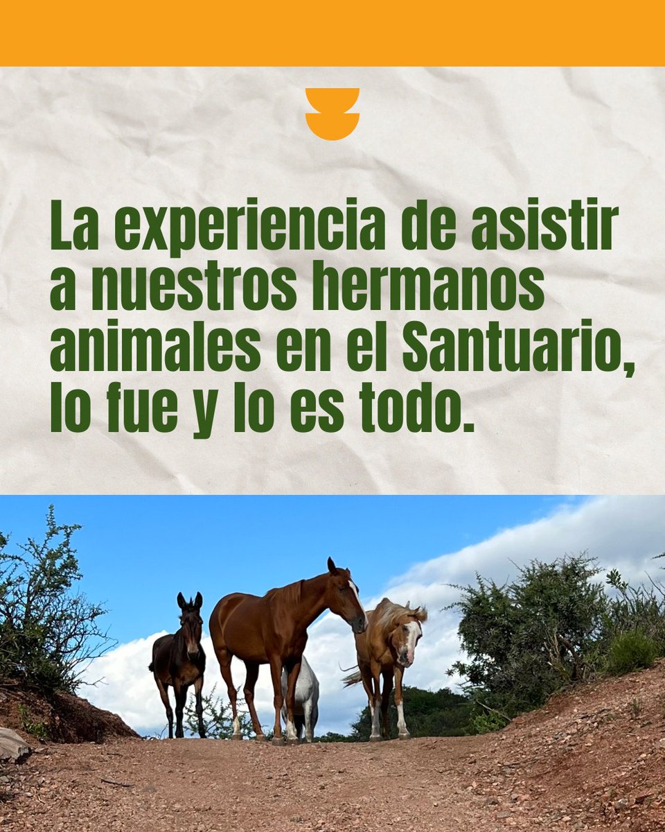 1 de 2

¿Qué sabés sobre el Film “El vínculo perdido”?

Este film narrará la historia de una joven que se inscribe como voluntaria en un santuario o centro de rescate de animales. El contacto con las personas y los animales que ahí viven, le disparan un proceso de transformación.