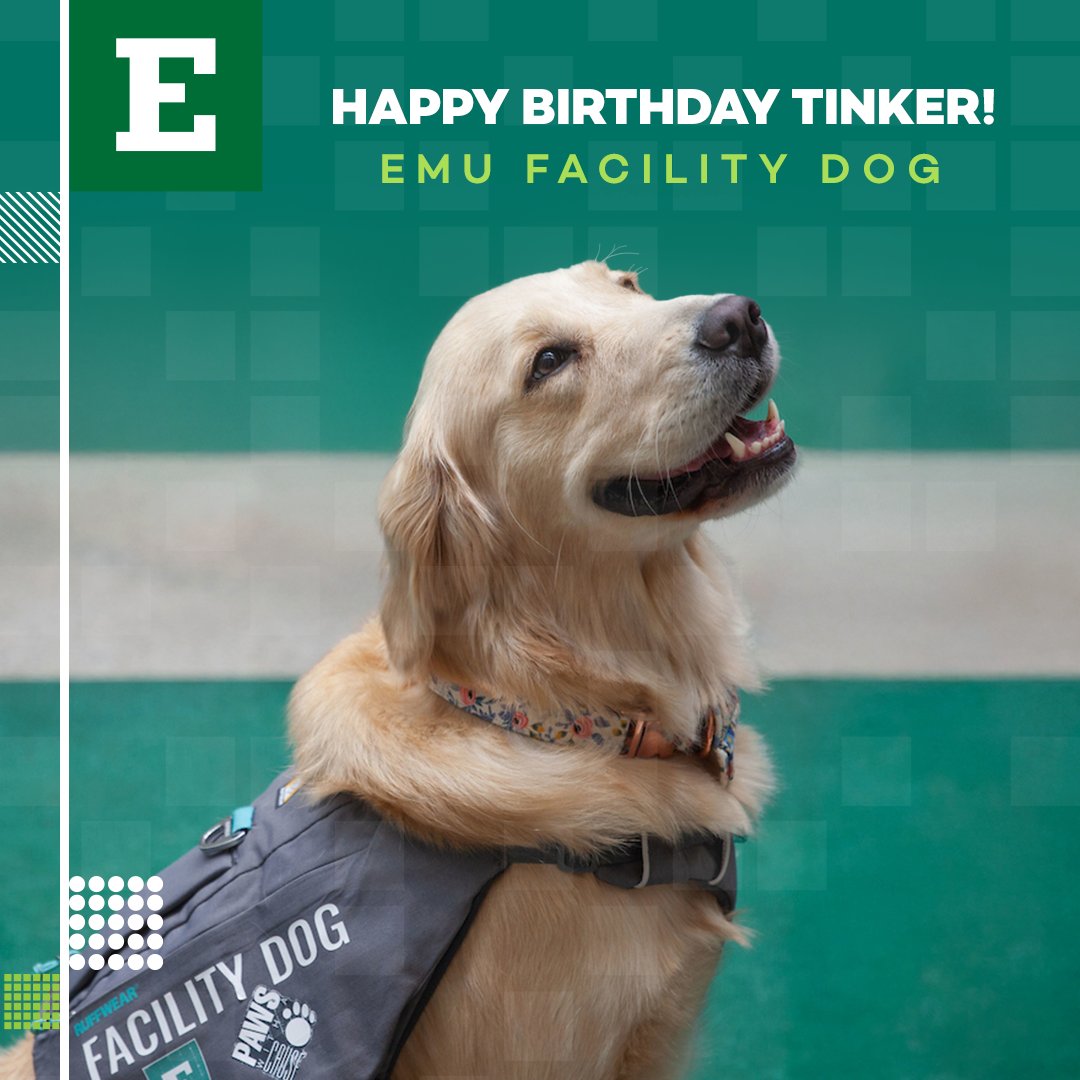 It’s Tinker’s Birthday! 🐾
Whether it's calming nerves during finals or just being the best buddy around, Tinker makes every day better. Help us wish Tinker a pawsome birthday!