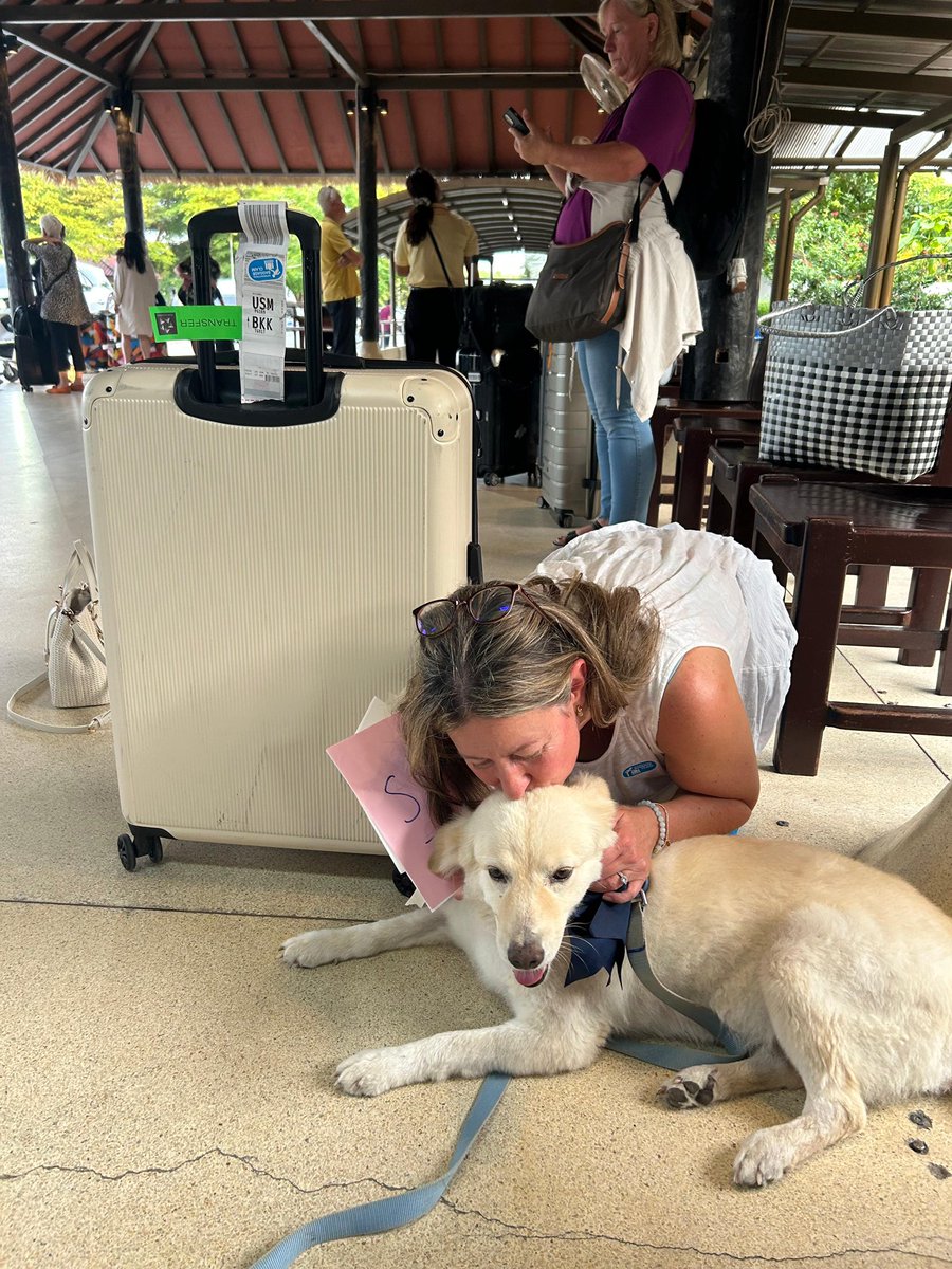 Matilda wanted to go down to Samui Airport today to welcome her new mum over. 

They will travel back together to England and her very own family next week (7/8)