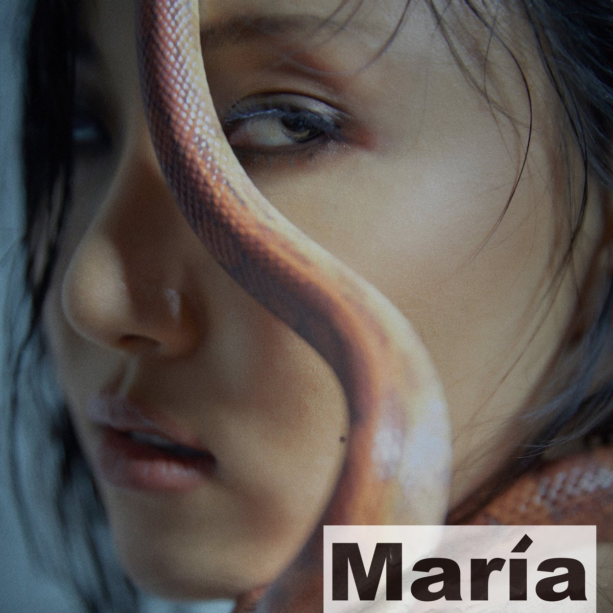 todayinkggs's tweet photo. 5 years ago today, Hwasa released her 1st Mini Album ‘María’ with title track ‘Maria’ https://t.co/WMnMDAqBld