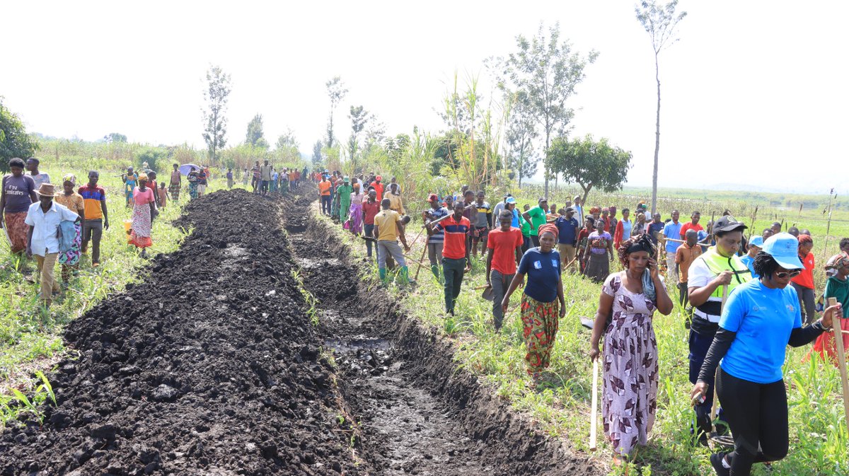 KireheDistrict's tweet photo. Kuri uyu Gatandatu, mu Murenge wa Mahama, Akagari ka Saruhembe, mu Mudugudu wa Kanombe hatangirijwe ibikorwa byo gucukurwa umuringoti wo gukumira imvubu zava mu mugezi w’Akagera zikonera abaturage. https://t.co/JoNOEP4GFv
