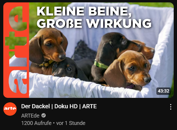 sozialerabfall's tweet photo. alle sofort das maul halten es läuft bildungsfernsehen https://t.co/gVExX6G8zh
