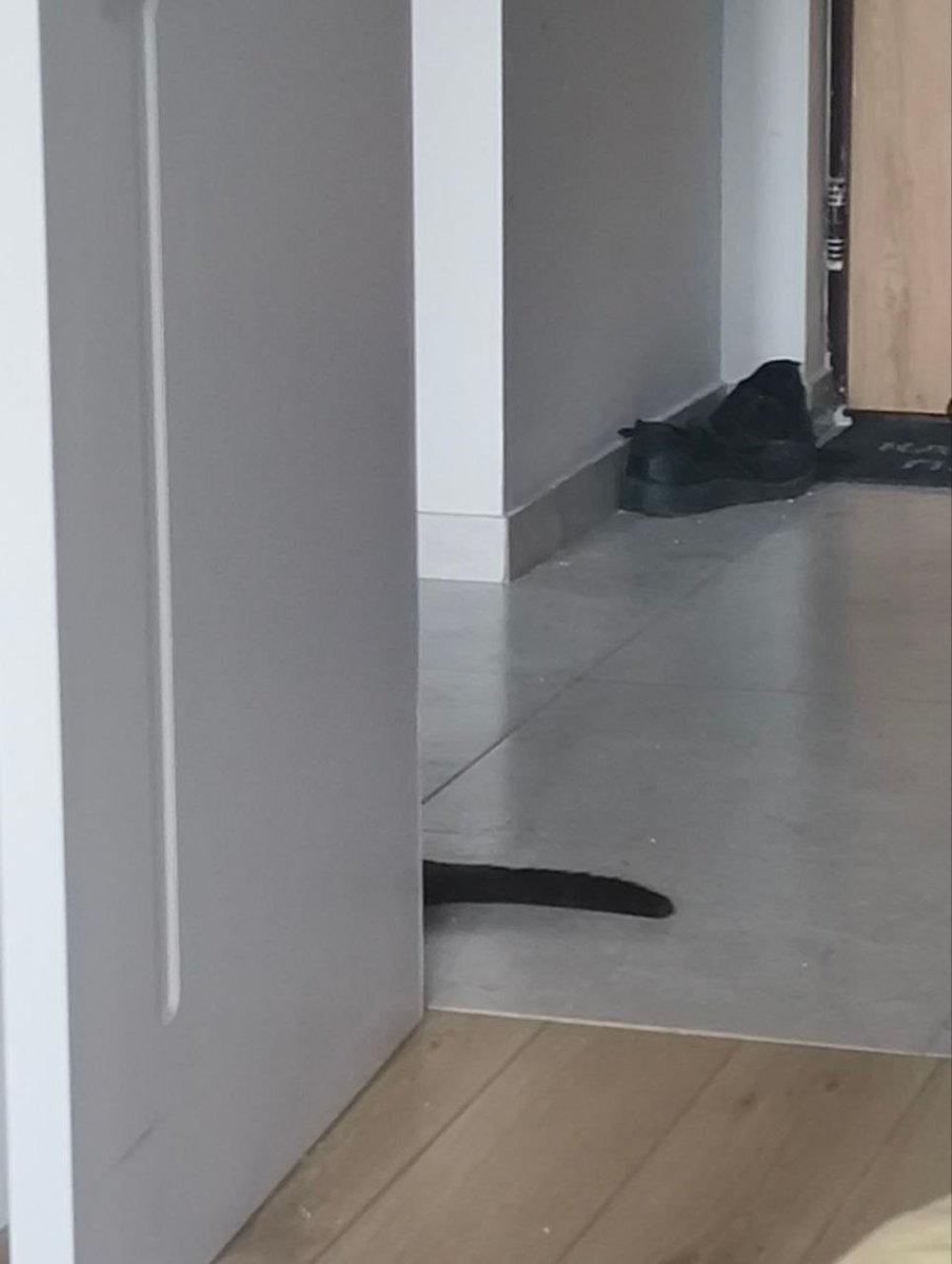 Угадайте что это за животное