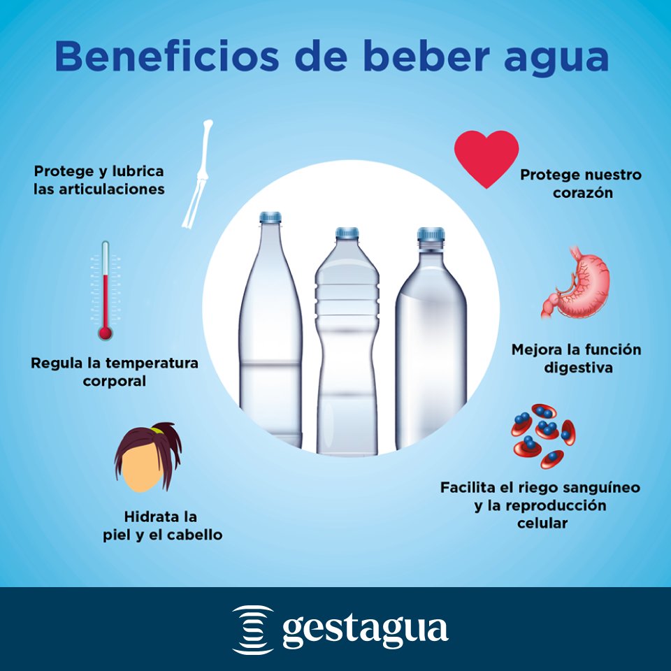 Mantenerse hidratados protege nuestro corazón y nuestras articulaciones. 💧 No olvides beber suficiente #agua durante el día, y si es del grifo, mucho mejor que embotellada. ¡Tanto para ti como para el planeta! 
🌍 #MedioAmbiente #PlasticFree