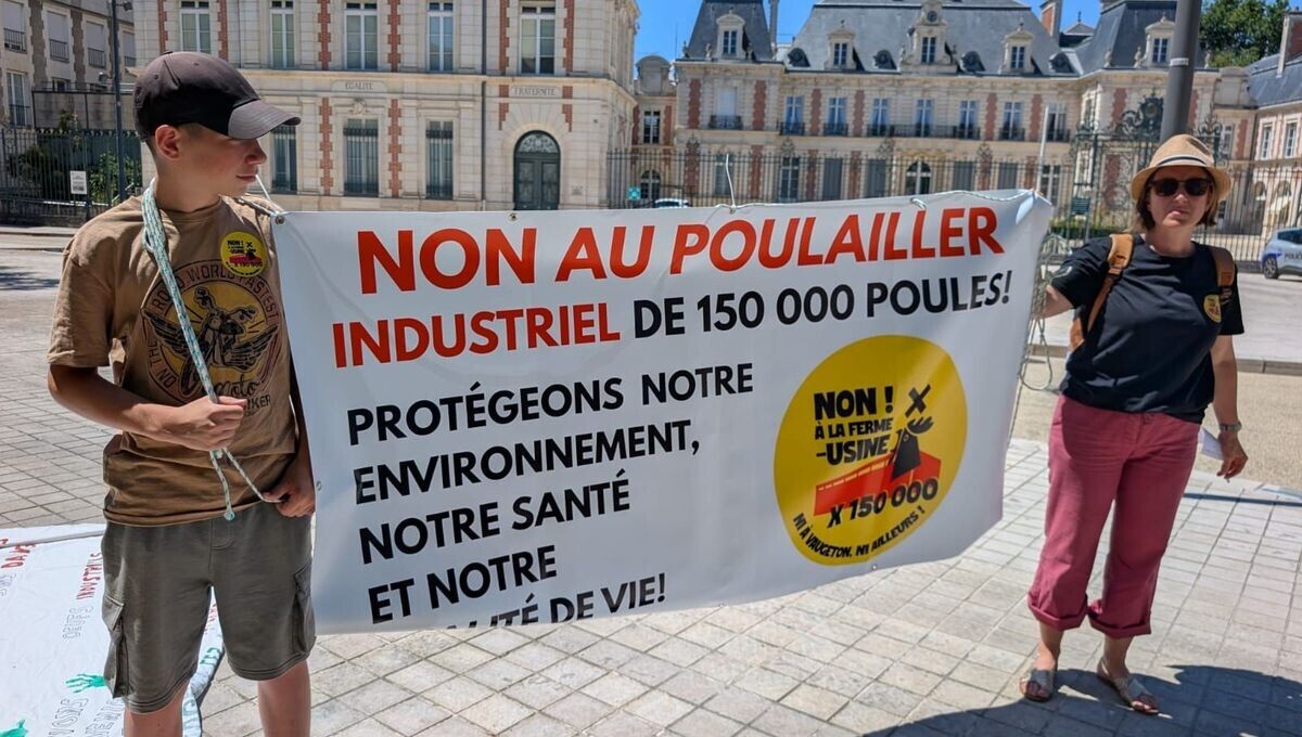 🐔 150 000 poules à Celle-Lévescault : les habitants maintiennent la pression devant la préfecture de la #Vienne
➡️ l.ici.fr/aHN